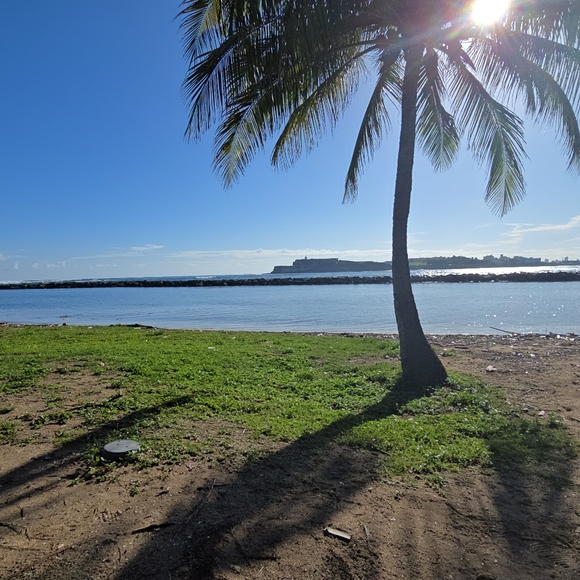 Meet your Posher, Adalis - Picture 3 of 3